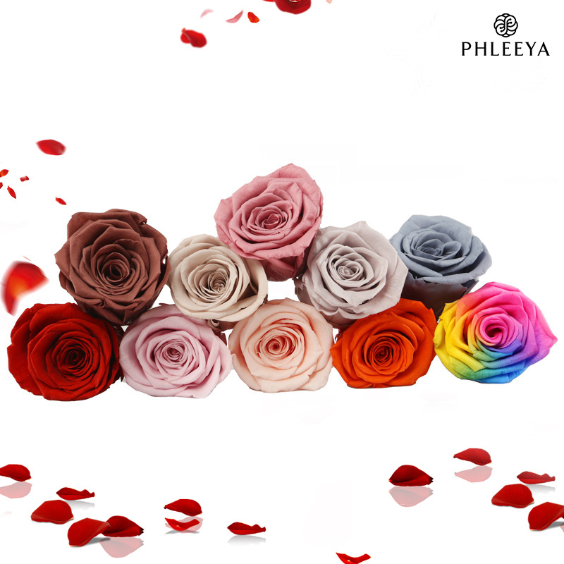6 szt. Wiecznych Głów Róż, Duż – Wedding Supply In Bulk recenzja i cena